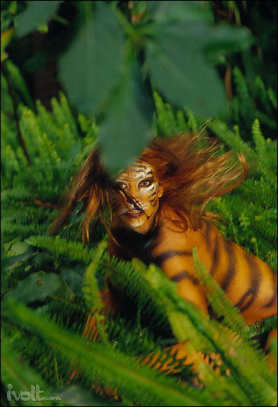 tigress05.jpg